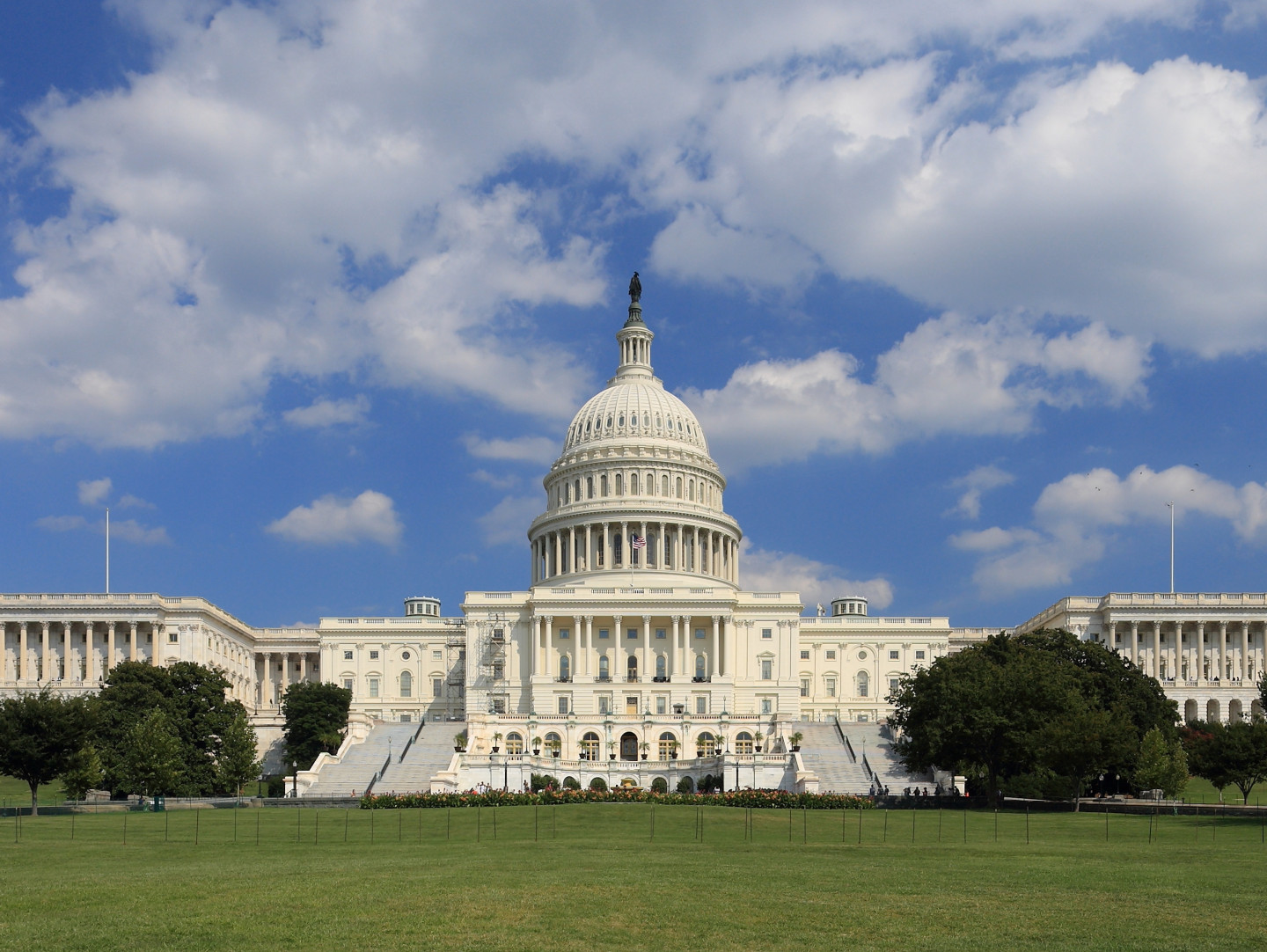 The west side of the us capitol. Above a blue sky, below a green lawn, between, the white building with it's large dome and columns filling the middle distance.