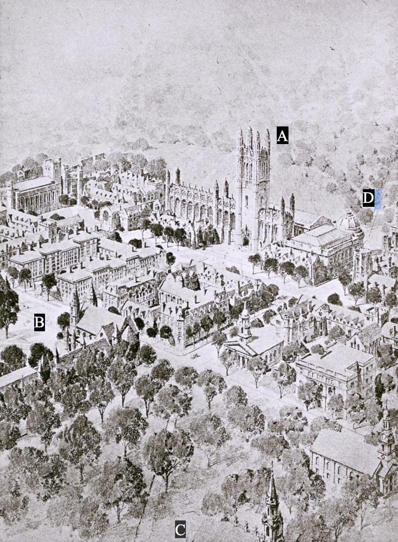 Elevation drawing of a proposed new campus for Yale in black and white.